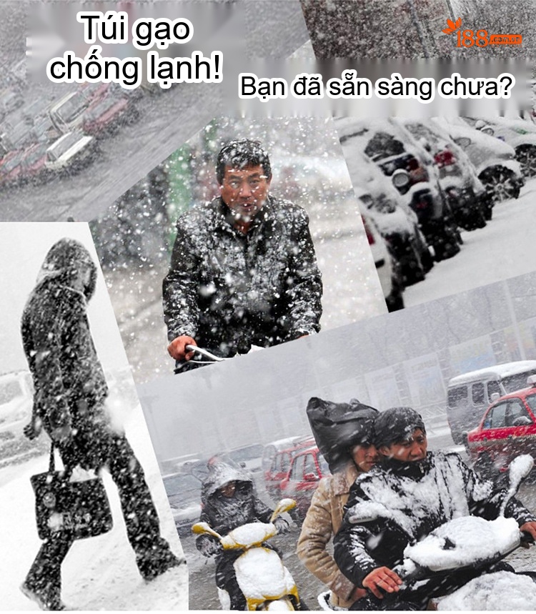 Áo Khoác Cotton Nam Dáng Dài Vừa Lót Lông Dày Dặn Màu Xanh Rêu, Xanh Navy, Đen, Nâu chi tiết 6