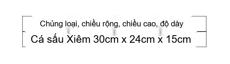 Túi Xách Nữ Da Cá Sấu Bụng Quai Xách Tay Phong Cách Thanh Lịch Màu Đen, Xám, Xanh Lá, Đỏ... chi tiết 1
