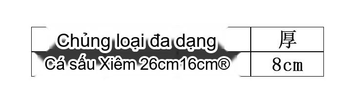 Ví Cầm Tay Nam Da Bụng Cá Sấu Xiêm Thái Lan Phong Cách Thời Trang Màu Đen chi tiết 1