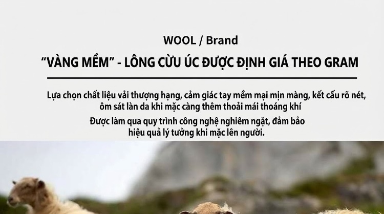 Áo Vest Nam Hai Mặt Dáng Ôm Thu Đông Chất Liệu Lông Cừu Màu Xám, Kẻ Caro chi tiết 26