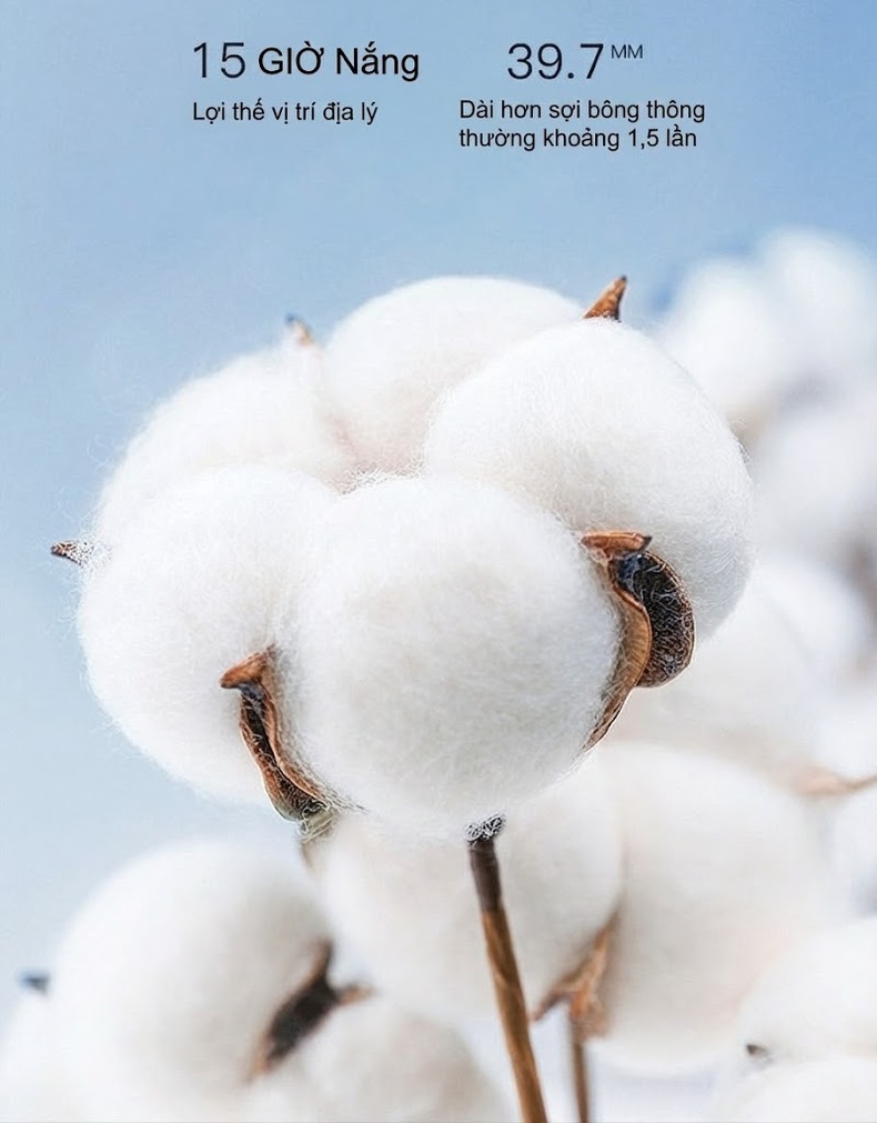 Áo Sơ Mi Dài Tay Nam Cotton Pha Polyester Mỏng Phong Cách Casual Màu Trắng, Đen, Xám, Xanh Quân Đội... chi tiết 5