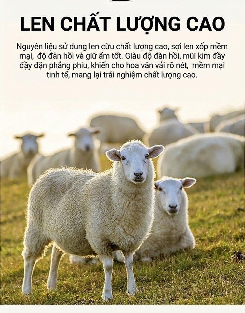 Set Áo Khoác Lửng Nữ và Chân Váy Bút Chì Vải Lông Cừu Hai Mặt Phong Cách Hàn Quốc Màu Nâu, Xám, Kem chi tiết 5
