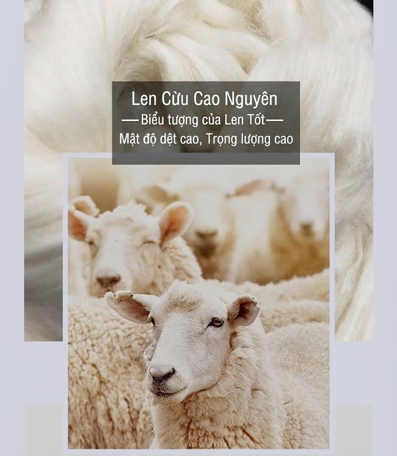 Áo Khoác Nam Trung Niên Cổ Bẻ Lông Vũ Lót Trong Tháo Rời Được Chất Liệu Lông Cừu Màu Xám, Xanh Navy chi tiết 3