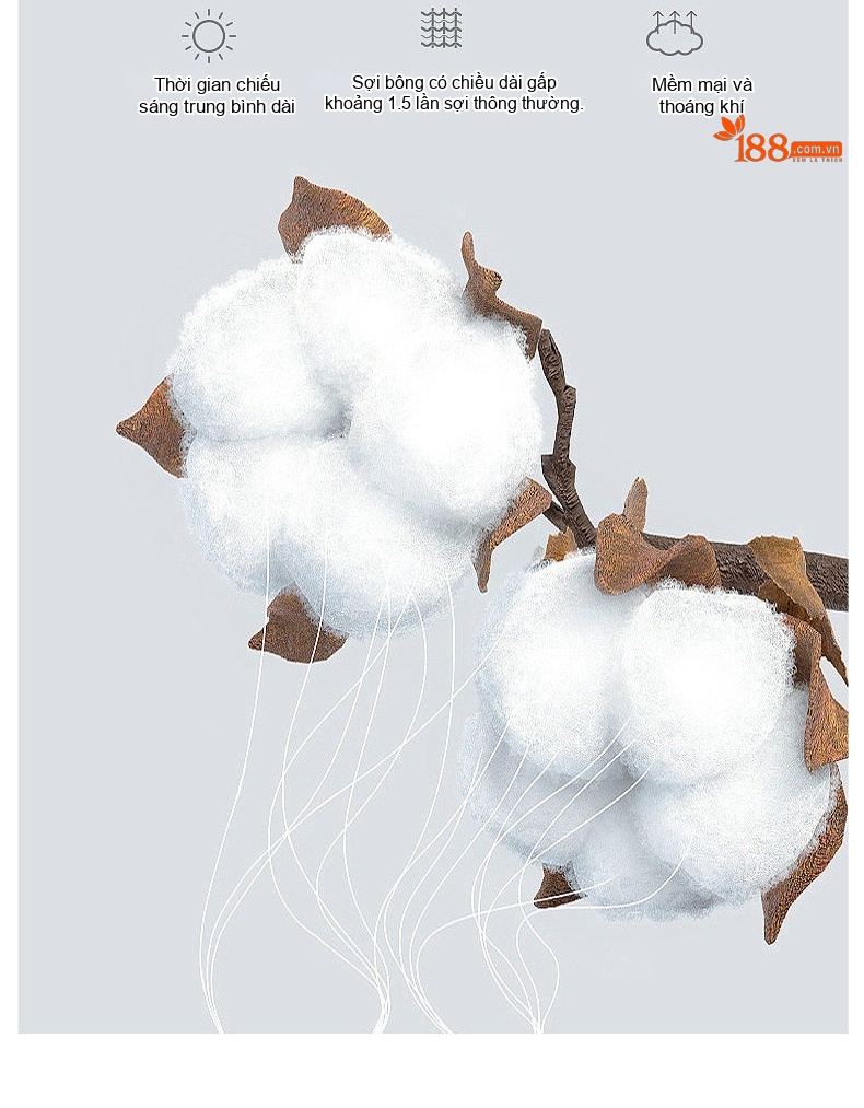 Áo Thun Dài Tay Nam Cotton Lụa Xử Lý Amoniac Màu Trắng, Kem, Nâu, Đen chi tiết 9