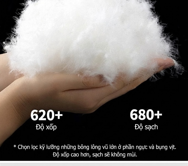 Áo Khoác Phao Nam Cổ Bẻ Lông Vũ Dáng Ôm Vừa, Mỏng Nhẹ Màu Xám Đen chi tiết 4