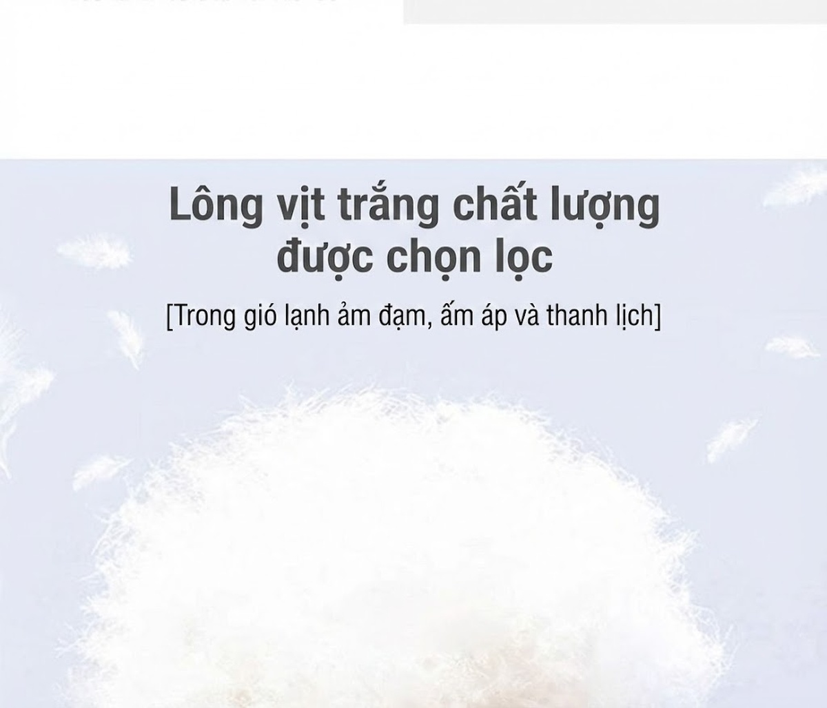 Áo Khoác Dạ Nữ Cổ Áo Choàng Lông Vũ Tay Bồng Phong Cách Thời Trang Màu Xám chi tiết 11