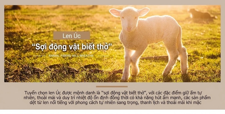 Áo Khoác Dạ Nam Dáng Dài Vừa Lót Lông Dày Dặn Cổ Lông Tháo Rời Màu Xám, Nâu chi tiết 7