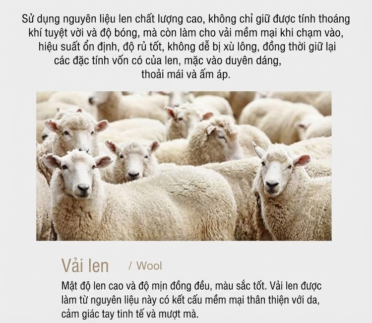 Áo Len Cổ Lọ Nam 100% Lông Cừu Dày Dặn Giữ Ấm Màu Be, Xám Đậm, Đen, Đỏ Rượu Vang chi tiết 4