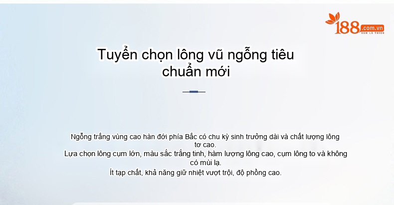 Áo Khoác Phao Nam Lông Vũ 3 Trong 1 Tháo Rời Lớp Trong Giữ Ấm Mùa Đông chi tiết 6