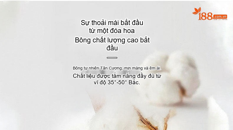 Quần Jean Nam Cotton Co Giãn Thoải Mái Dáng Ôm Vừa Vặn Màu Xanh Xám, Đen Xám chi tiết 7