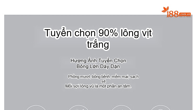 Áo Khoác Phao Nữ Cổ Trụ Tay Bo Chun Cúc Bấm Phong Cách Cổ Điển Lót Lông Vịt Trắng 90 Màu Nâu, Trắng, Đen chi tiết 5