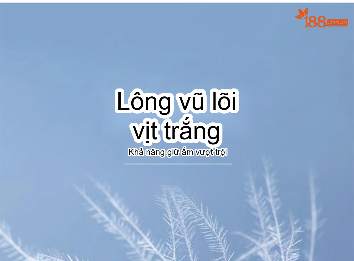 Áo Khoác Phao Nữ Dáng Dài Vừa Vặn, Phong Cách Hàn Quốc, Giữ Ấm, Lót Lông Vịt Trắng Màu Đen, Kem, Xám chi tiết 16