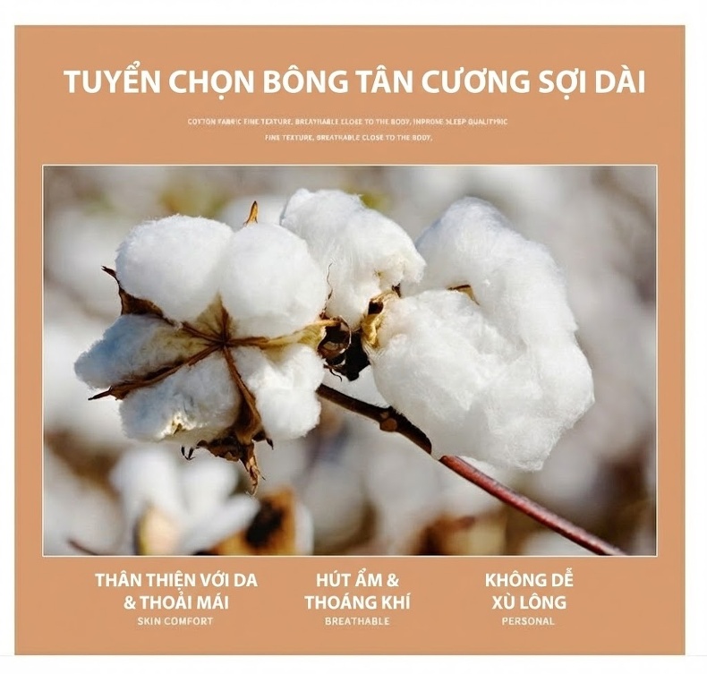 Áo Sơ Mi Tay Dài Nam Cotton Màu Trơn Trung Niên Phong Cách Doanh Nhân Màu Xanh Dương, Đỏ Rượu, Xám, Xanh Ngọc... chi tiết 4