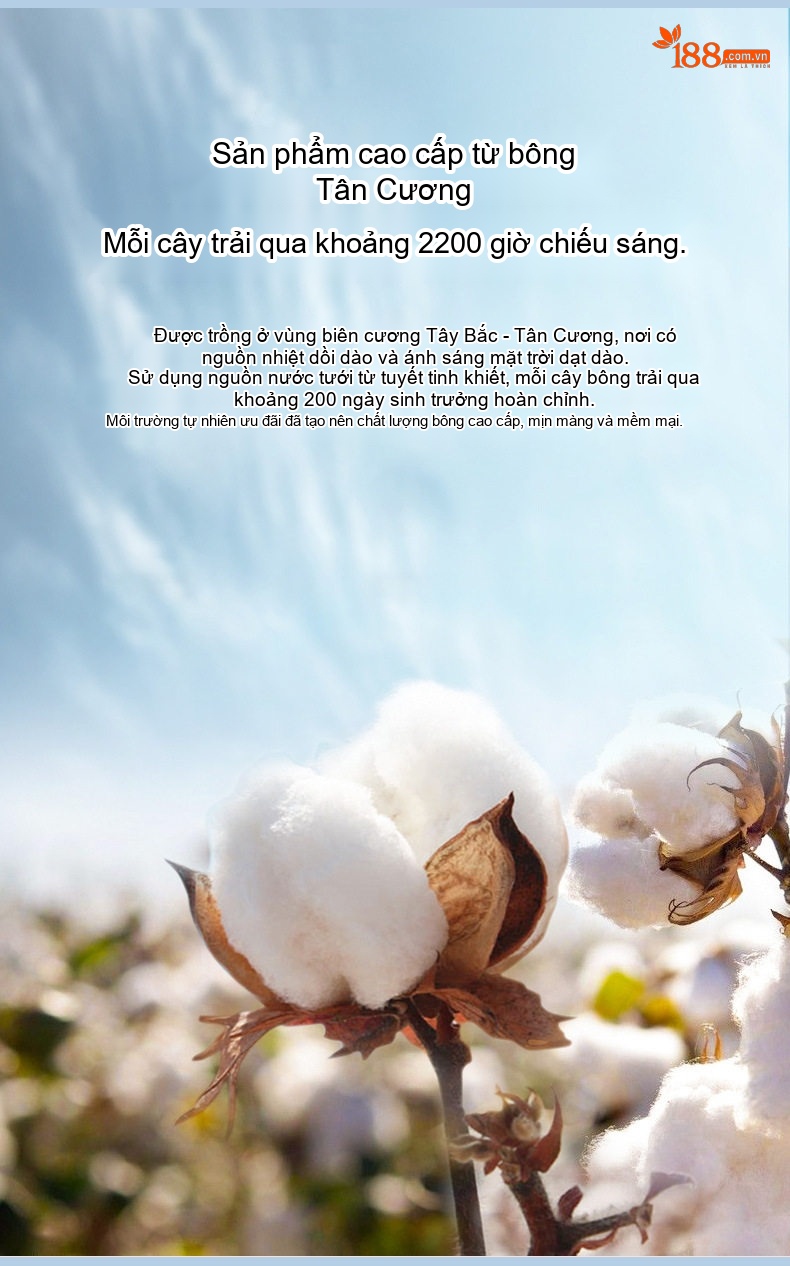 Áo Sơ Mi Nam Tay Dài Oxford Cotton Thoáng Khí Họa Tiết Kẻ Sọc Lớn Màu Xanh Dương, Đen, Trắng, Xám... chi tiết 10