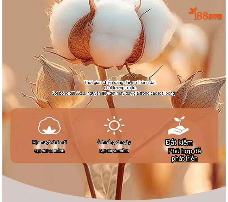Quần Jean Nam Ống Đứng Co Giãn Lót Lông Cừu Dày Dặn Cao Cấp Màu Xám Đen chi tiết 3