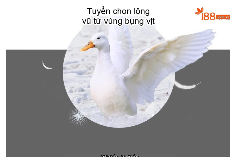 Áo Khoác Phao Nữ Dáng Dài Vừa Người, Ôm Eo, Phong Cách Hàn Quốc Màu Trắng Kem, Đen, Be, Hồng chi tiết 10