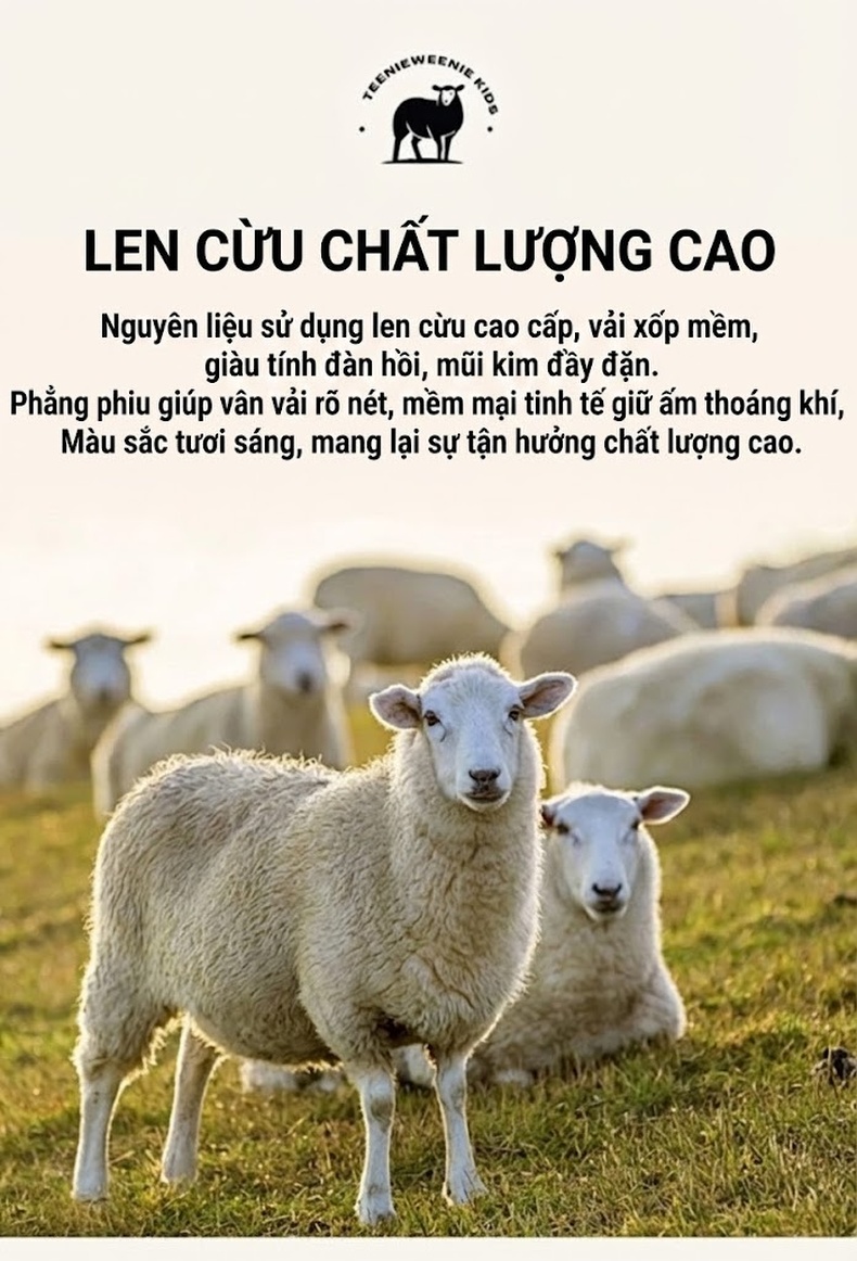 Áo Khoác Nữ Dáng Rộng Vừa Len Hai Mặt Phong Cách Hàn Quốc Có Mũ Trẻ Trung Màu Nâu, Đen, Kem chi tiết 14
