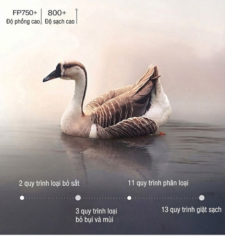 Quần Dài Thể Thao Ống Bo Nam Nữ Lót Lông Vũ Trắng Giữ Ấm Màu Đen chi tiết 3