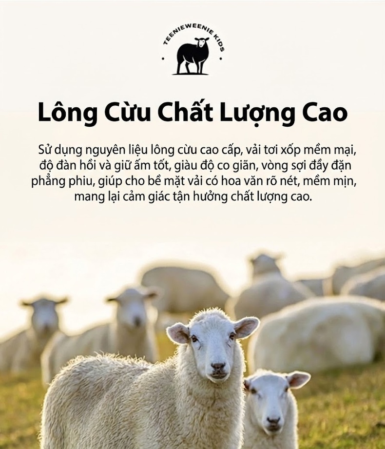 Áo Polo Nam Dệt Kim Cổ Bẻ Dài Tay Giữ Ấm Màu Xám, Xanh Navy, Cam, Đen... chi tiết 7