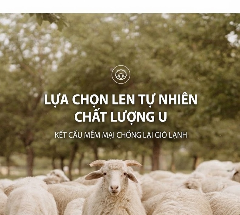 Áo Khoác Dạ Nữ Dáng Dài Vừa Thu Đông 2023 Phong Cách Hepburn Thắt Eo Khuy Cài Màu Be, Xanh, Hồng, Nâu chi tiết 10