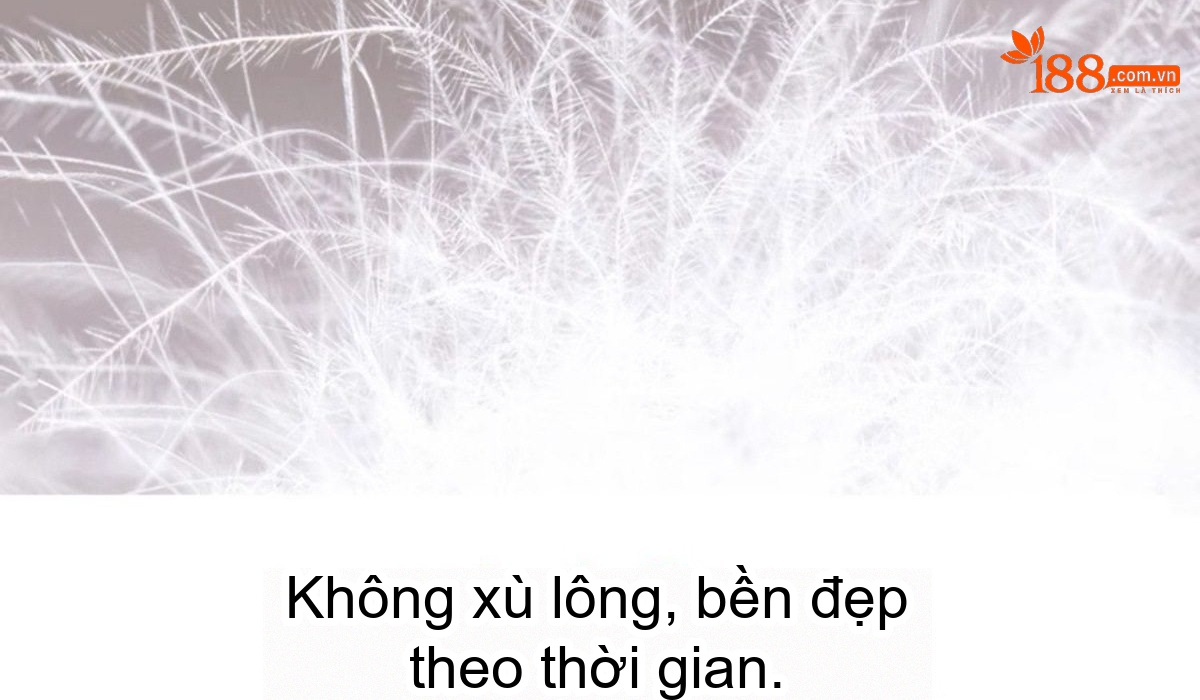 Áo Khoác Phao Nữ Ngắn Tay Dáng Nhỏ Gọn Cao Cấp Giữ Ấm Lông Vịt Trắng Màu Trắng Kem chi tiết 5