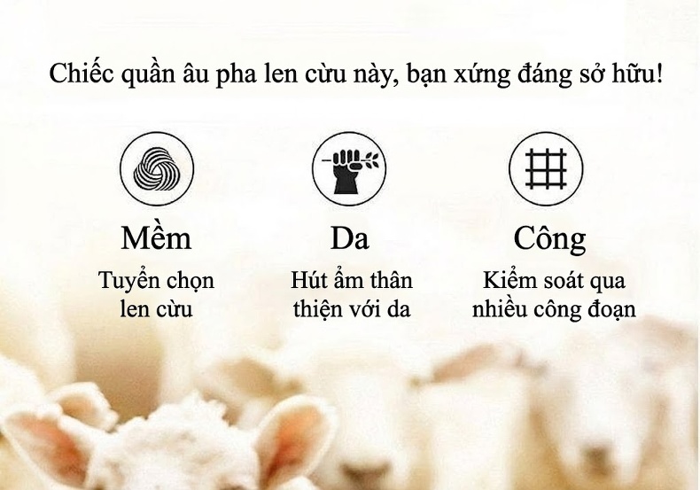 Quần Tây Nam Ống Đứng Lót Lông Cừu Dáng Suông Màu Đen chi tiết 7