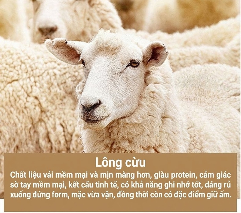 Quần Tây Nam Ống Đứng Lót Lông Cừu Dáng Suông Màu Đen chi tiết 8