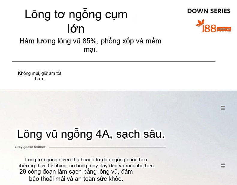 Quần Dài Nam Lưng Cao Dây Rút Mặc Ngoài Chống Gió Lạnh Giữ Ấm Bông Lông Vũ Màu Đen chi tiết 2