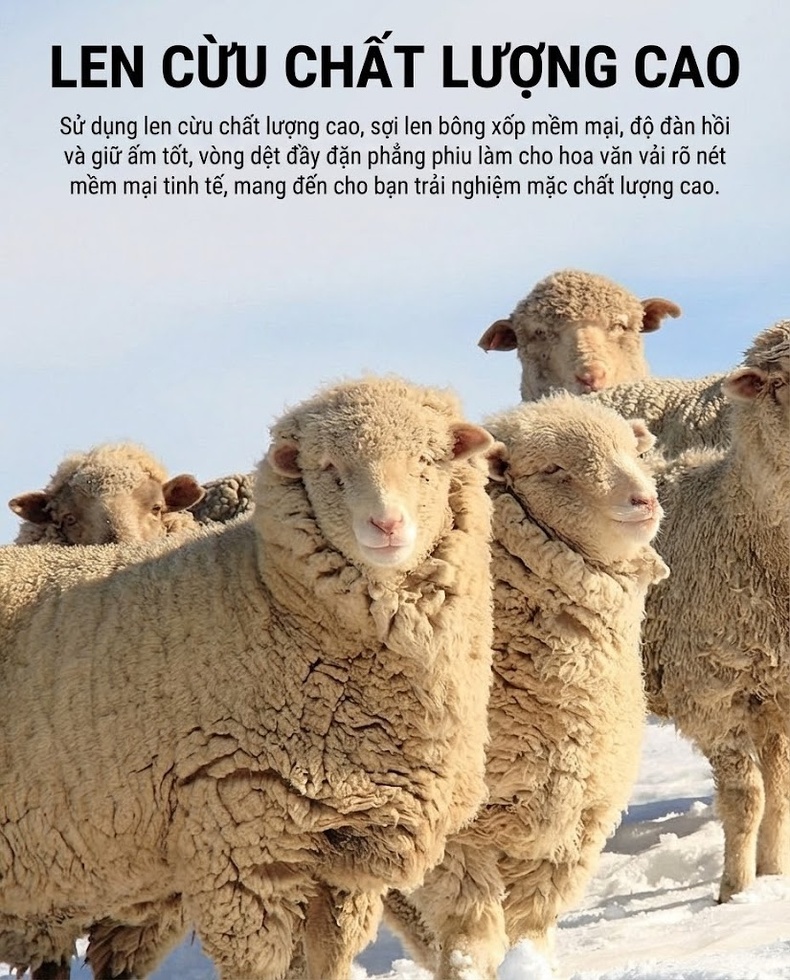 Áo Khoác Dạ Nam Lông Cừu Dáng Dài Trung Niên Lót Lông Vũ Ấm Áp Màu Đen chi tiết 4