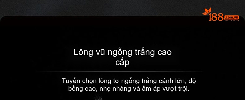 Áo Khoác Phao Nam Milk Silk 90% Lông Ngỗng Xám Mỏng Nhẹ Có Mũ Màu Xanh Navy chi tiết 6