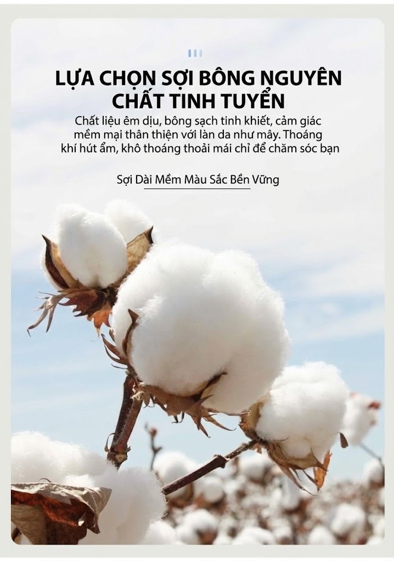 Áo Sơ Mi Nam Tay Ngắn Cotton Chống Nhăn Cao Cấp Màu Trắng, Xanh, Xám, Hồng chi tiết 2
