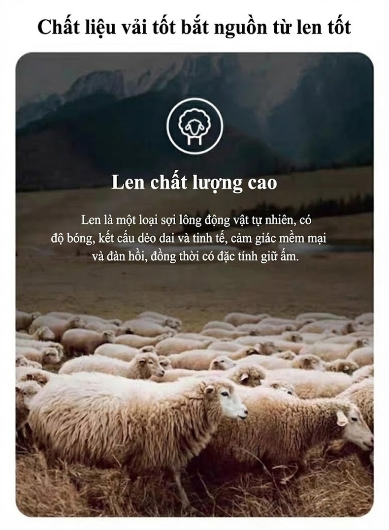 Áo Khoác Dạ Nam Lót Lông Vũ Cổ Khăn Choàng Tháo Rời Màu Đen, Nâu, Xám chi tiết 4