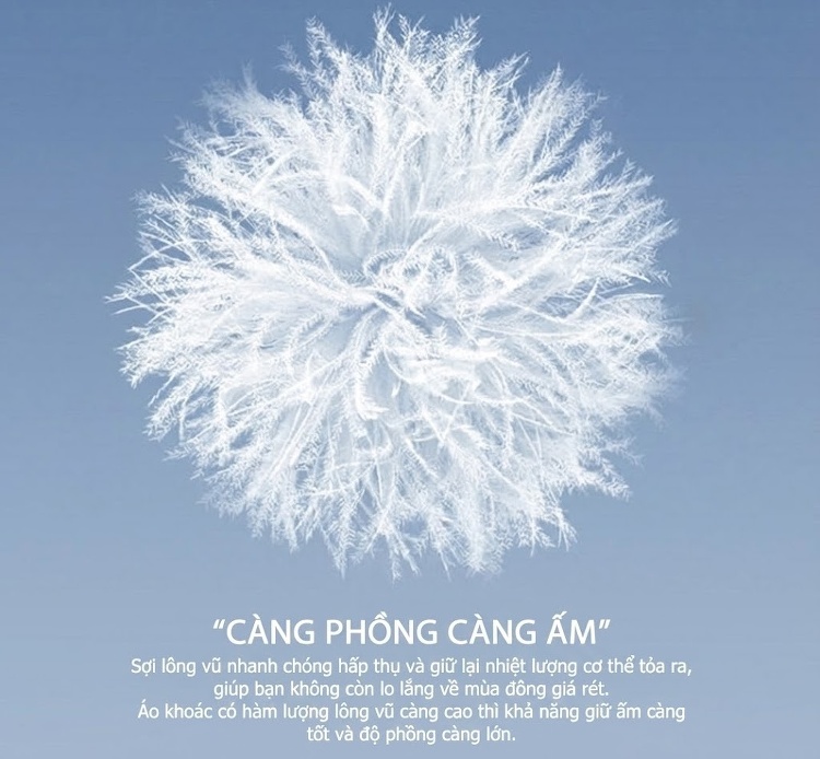 Quần Dài Nam Lông Vũ Cao Cấp Dáng Rộng Thoải Mái Chống Thấm Nước Màu Đen chi tiết 4