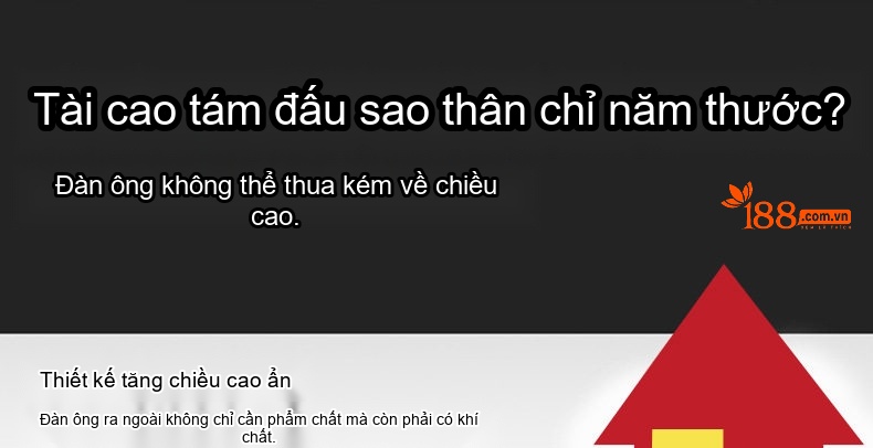 Giày Thể Thao Nam Da Bóng Chiều Cao Đế 5cm Màu Trắng, Đen chi tiết 7