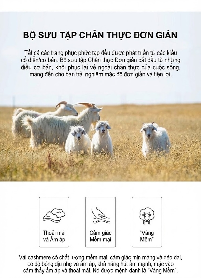 Áo Khoác Tiểu Thư Ngắn Tay Lỡ Màu Hồng, Xám, Vàng Be chi tiết 12