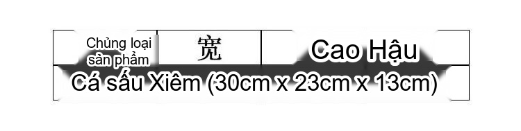 Túi Xách Nữ Da Lưng Cá Sấu Họa Tiết Đầu Cá Sấu Đeo Vai Đeo Chéo Màu Trắng, Hồng, Đỏ, Đen... chi tiết 1