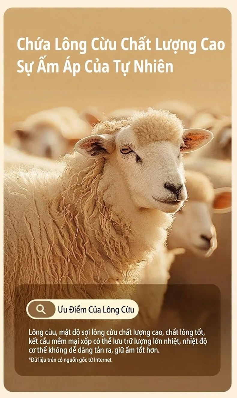 Áo Khoác Dạ Nam Lông Cừu Non Dáng Dài Vừa Ve Áo Chữ V Màu Xám, Đen chi tiết 4
