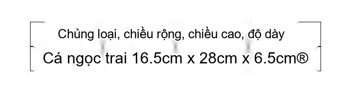 Túi Đeo Ngực Nam Da Thật Cá Đuối Thời Trang chi tiết 1