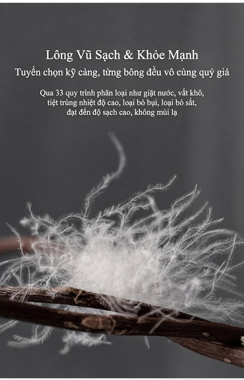 Áo Khoác Phao Nam Dáng Ngắn Cổ Lật Chống Gió Giữ Ấm Màu Be, Xám, Đen chi tiết 26