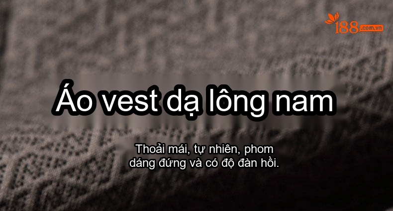 Áo Vest Nam Thu Đông Trắng Vịt Ấm Áp Phong Cách Business Màu Đen, Nâu chi tiết 1