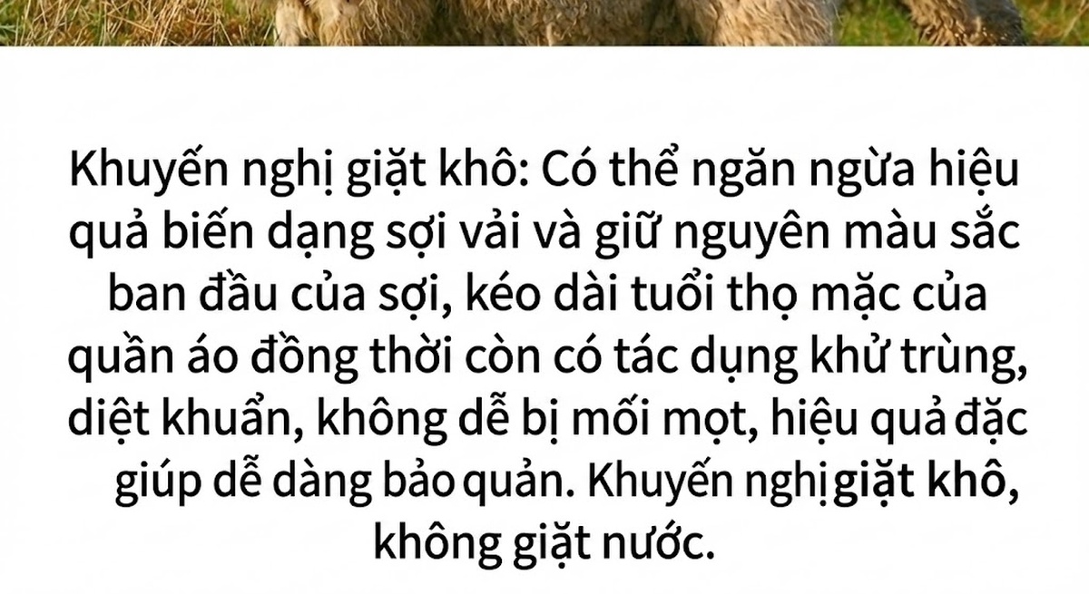 Áo Khoác Dạ Nữ Hai Mặt Phong Cách Tiểu Thư Thanh Lịch Màu Be, Đen chi tiết 10