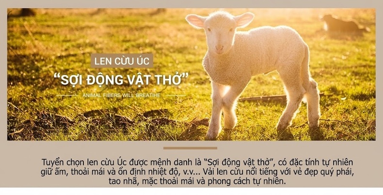 Áo Khoác Dạ Nam Dáng Dài Ôm Dáng Thu Đông Chất Liệu Lông Cừu Màu Xám, Xanh Navy chi tiết 7
