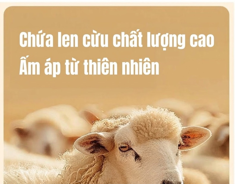 Áo Khoác Dạ Nam Trung Niên Dáng Dài Vừa Lông Cừu Màu Xám, Đen chi tiết 6