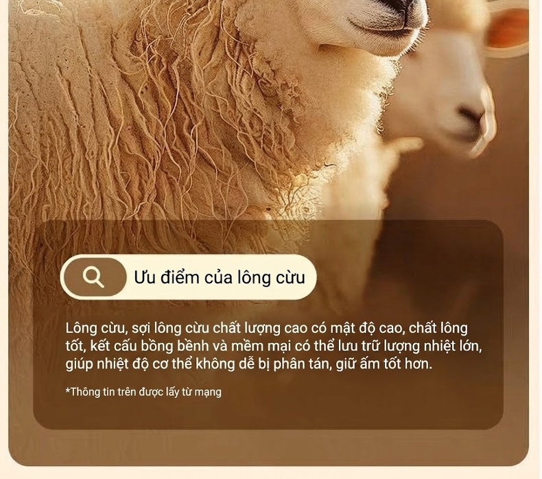 Áo Khoác Dạ Nam Trung Niên Dáng Dài Vừa Lông Cừu Màu Xám, Đen chi tiết 7