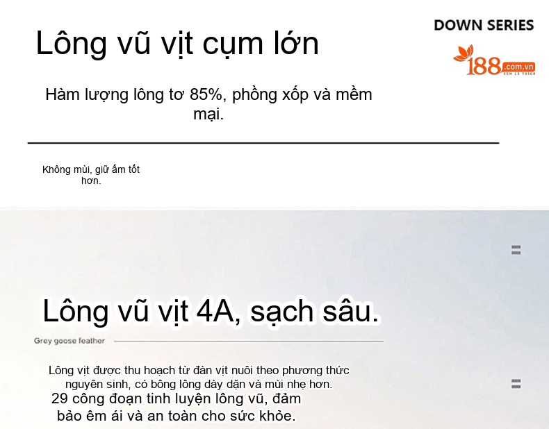 Quần Dài Nam Lông Vũ Dày Dặn Ống Đứng Lưng Thun Giữ Ấm Màu Đen chi tiết 2