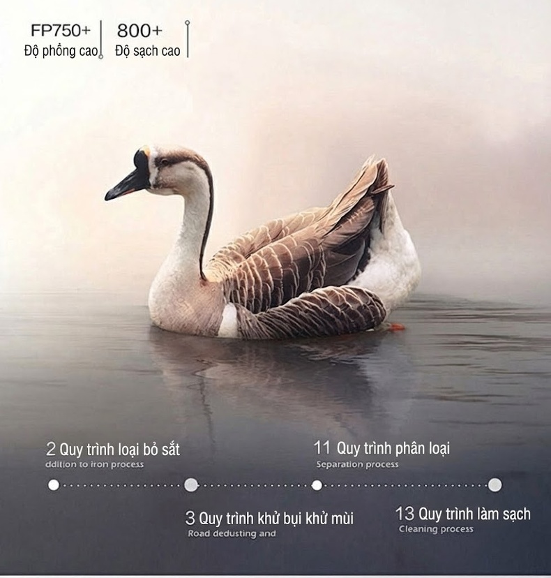Quần Dài Nam Lông Vũ Dày Dặn Ống Đứng Lưng Thun Giữ Ấm Màu Đen chi tiết 3