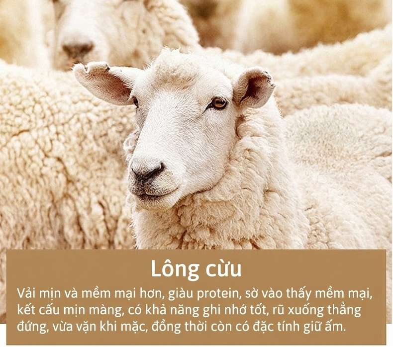 Quần Tây Nam Ống Đứng Dáng Suông Chất Liệu Lông Cừu Thoáng Khí Màu Đen, Xanh Navy chi tiết 7