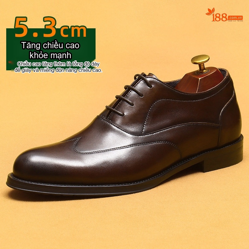 Giày Tây Buộc Dây Nam Da Bò Chiều Cao Đế 5.3cm Mũi Nhọn Màu Đen, Nâu