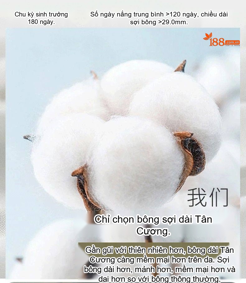 Quần Jean Dài Nam Màu Xanh Dương Rửa Bụi, Dáng Ôm Vừa, Ống Đứng, Phong Cách Retro chi tiết 8