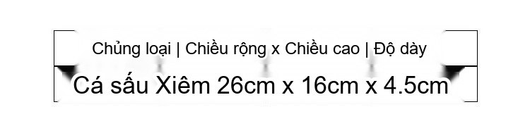 Túi Xách Nữ Da Cá Sấu Bụng Màu Trắng, Hồng, Xanh Dương, Đen chi tiết 1